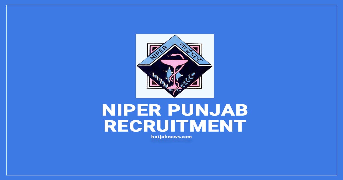 niper recruitment